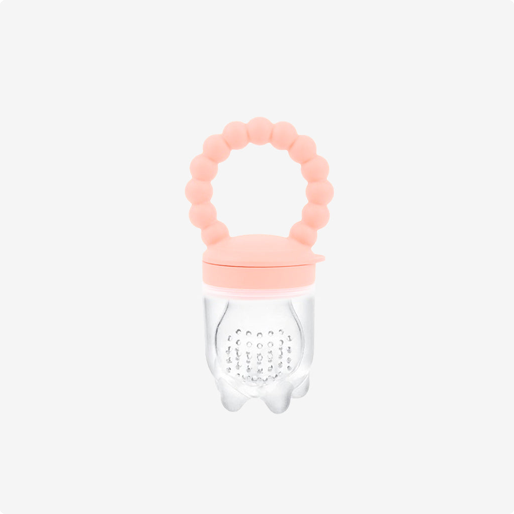 Baby Fruit Feeder &amp; Teether